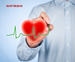 Nhiều lợi ích của bạch quả với tim mạch đến từ khả năng tăng cường lưu thông máu