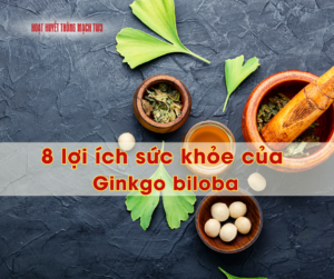 8 lợi ích sức khỏe của Ginkgo biloba đối với sức khỏe não bộ